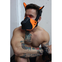 Breedwell Masque Poundtown Pup Breedwell Noir-Orange